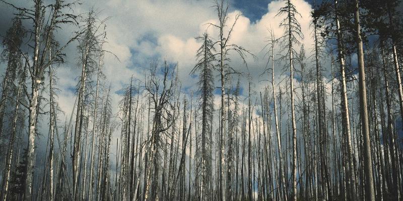 告别停机！徐州破碎机远程运维实战指南：基于物联网的故障预警与预防性维护