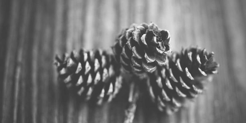 徐州建筑垃圾资源化关键一步：涡电流分选与风选系统，谁的经济效益更胜一筹？