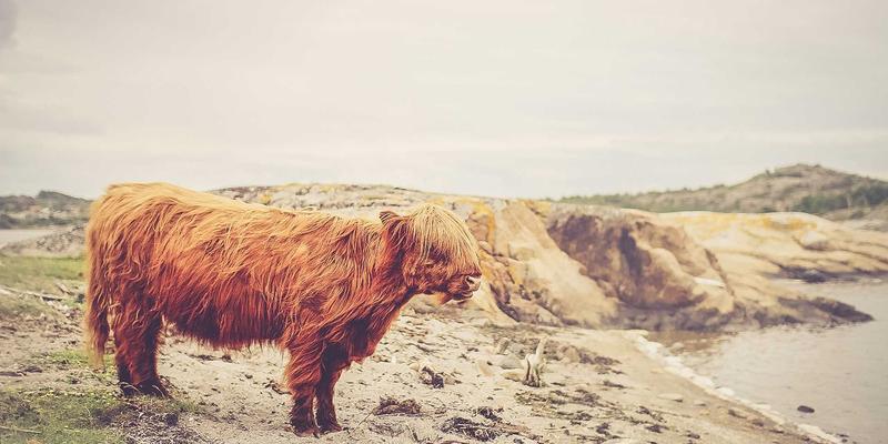 徐州矿山破碎机环保改造技术：粉尘与噪音控制最新方案解析