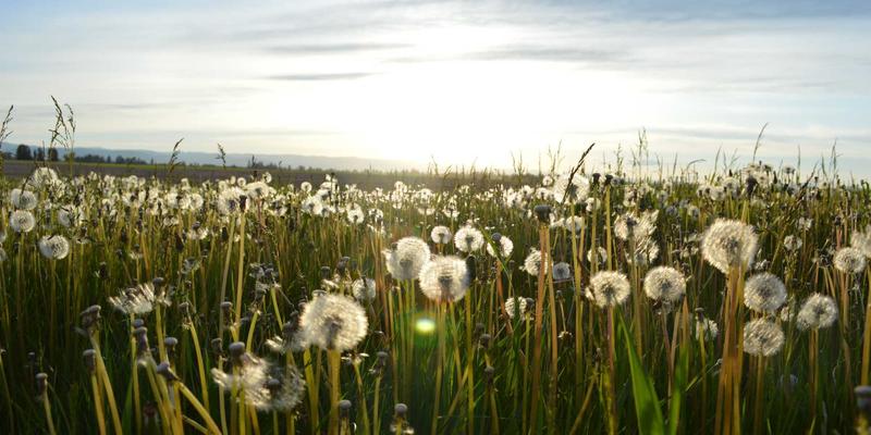 徐州移动破碎站租赁全攻略：价格、机型选择与避坑指南