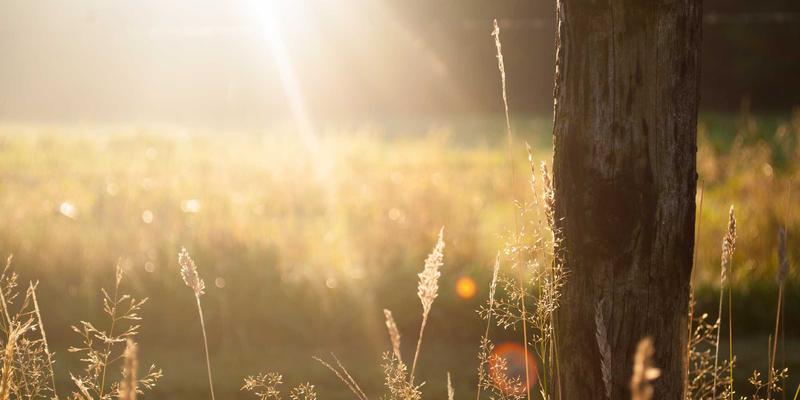 花岗岩破碎难题如何破解?徐州圆锥破凭三大优势与实战案例引领高效加工